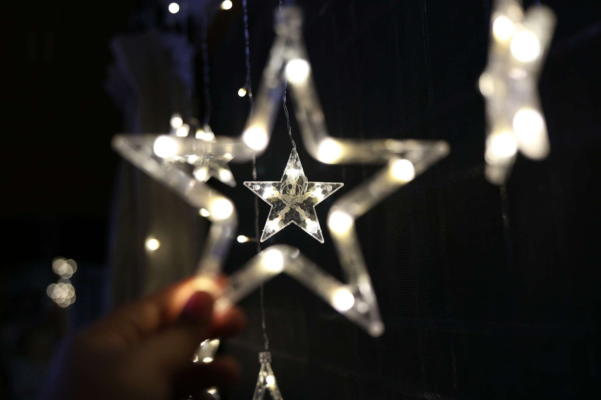 Read more about the article How you can support Nellie’s this holiday season